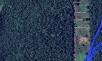 Imagem 4: Sitio a venda na Estrada da alegria