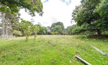 Imagem 3: Terreno à venda em Colombo