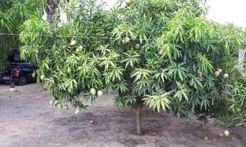 Imagem 5: Sítio Povoado Santa Teresa (1.000m²