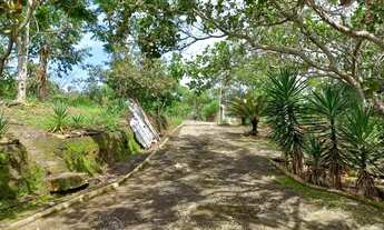 Imagem 5: Excelente Chácara com 4 Hectares, Tanques de peixes, Córrego