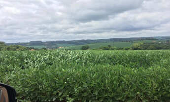 Imagem 6: Sítio - Patrimônio Espirito Santo Londrina/PR