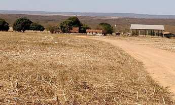 Imagem 5: 373 Alqueires em Divinópolis-Go