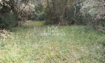 Imagem 7: Chácara e 11,5 hectares.!! st449