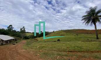 Imagem 3: Área rural para criação de gado de 7,762 ha com 3,2 ha de aproveitamento para gado