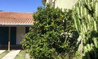 Imagem 5: Belo terreno com casa de madeira