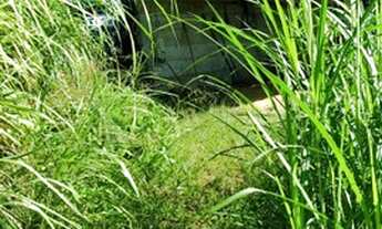 Imagem 3: Oportunidade! Sítio de 44.000m2 na Água Verde, R$ 4,55 por m2