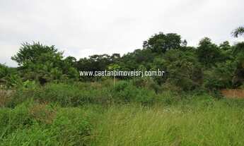 Imagem 4: Terreno plano e murado (Ideal para sítios