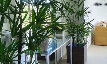 Imagem 7: Apartamentos de 01 quarto na beira mar de Candeias -lazer completo - pronto para morar e i