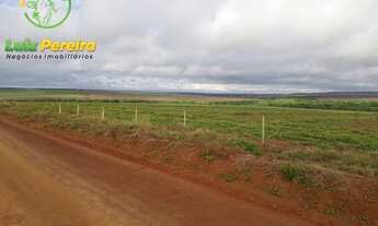 Imagem 3: FAZENDA Á VENDA EM RIBAS DO RIO PARDO - MS - DE 2.007 HEC.(DUPLA APTIEDÃO