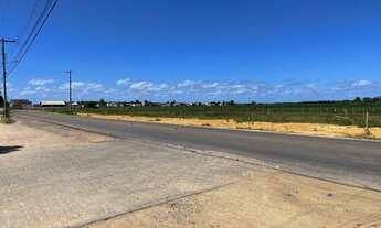 Imagem 4: Lot. Caburé Vende Excelentes Terrenos Na Av. Principal De Barra Do Ribeiro(Venda Direta)!!