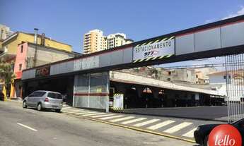 Imagem 2: São Paulo - Terreno Padrão - Belém