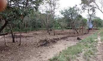Imagem: VENDO ESTE LINDO TERRENO EM PONTA DE PEDRA