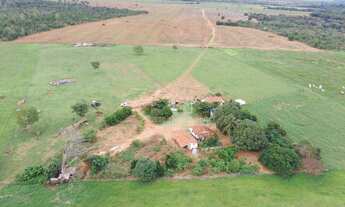 Imagem 6: Fazenda Região Dom Aquino - MT