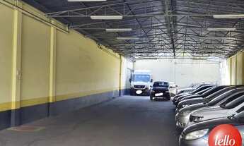 Imagem 7: Santo André - Galpão/Depósito/Armazém - Jardim