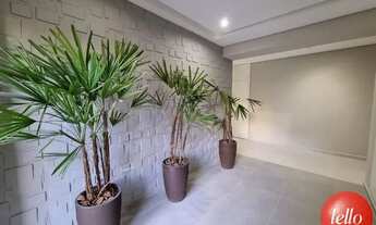 Imagem 2: São Paulo - Apartamento Padrão - Mooca