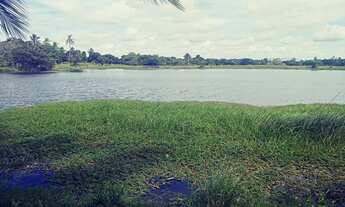 Imagem 2: Vendo Terreno Na Pindoretama Com 20 Hectares E Açude Dentro Vem Terreno Muito Bom. vá