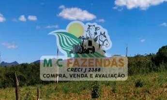 Imagem 2: Fazenda à Venda em Rio de Contas - BA | 309 Hectares
