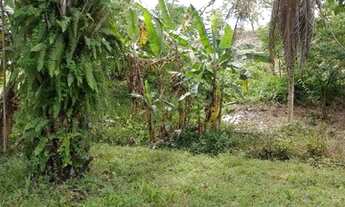 Imagem 4: Vendo sitio Chácara com venda por R$240.000