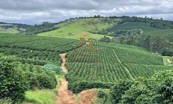 Imagem: Fazenda - Oliveira - Zona Rural
