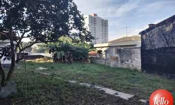 Imagem 6: Santo André - Terreno Padrão - Vila Camilópolis