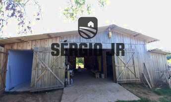 Imagem 5: Sítio com 4h, casa, galpão, piscina e acesso pelo asfalto - Triunfo