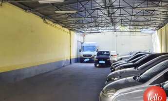 Imagem 5: Santo André - Galpão/Depósito/Armazém - Jardim