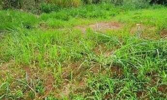 Imagem 3: Terreno para Venda em Campo Grande, Bairro Seminário