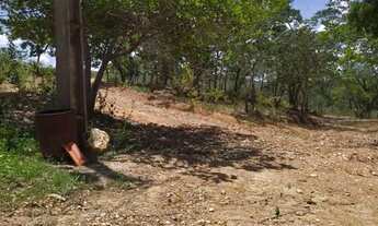 Imagem 2: Lindo Sítio em Curralinho