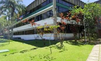 Imagem 2: Pavilhão/Galpão para alugar no bairro Cooperativa - São Bernardo do Campo/SP