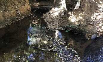 Imagem: Chácara 5.000 m² com córrego - PATO SELVAGEM