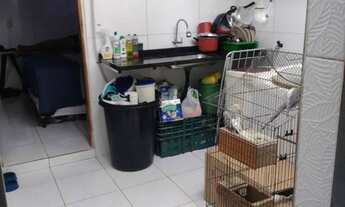 Imagem 7: Vendo casa no telégrafo ac