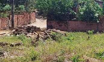 Imagem 6: Vendo terreno no tajaçuaba zona rural de são Luís MA