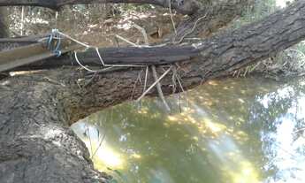 Imagem 7: Sitio pequeno a venda na estrada da produção