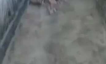 Imagem 9: Vende-se casa Parnamirim RN