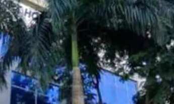 Imagem: Excelente Apartamento