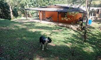 Imagem 3: Chacara plantio próximo ao centro + palmital