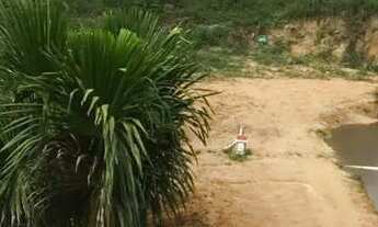 Imagem 6: Vendo Sitio na AM 010 km100