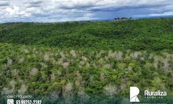 Imagem 7: Palmas - TO Fazenda 30 km de Palmas -TO