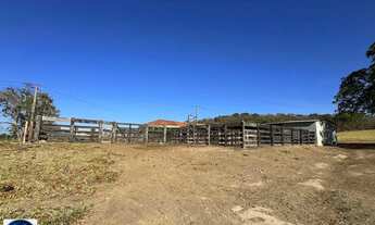 Imagem 7: Fazenda à Venda em Indiara - GO | 47 Alqueires