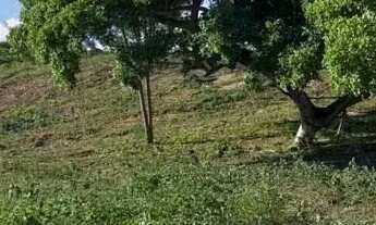 Imagem 3: FAZENDA EM IBIQUERA - 910 TAREFAS