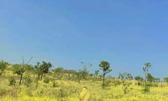 Imagem 2: CAFÉ SEM TROCO - FAZENDA COM 47 HECTARES BEIRA DO ASFALTO