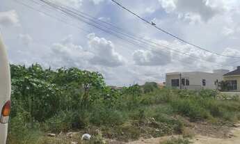 Imagem: TERRENO EM ALAGOINHAS