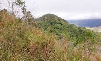 Imagem: Fazenda de Pinus à venda em Adrianópolis/PR