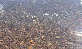 Imagem 6: Chácara com 30% de entrada mais parcelas