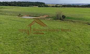 Imagem 4: Fazenda com 58 alqueires à venda em Laranjal Paulista-SP