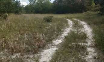 Imagem 2: Terreno para Venda em Entre Rios, Mutuim