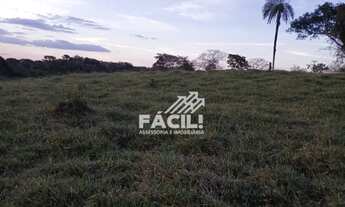 Imagem 6: Vende-se Fazenda de 38 Alqueires em Divinópolis Tocantins