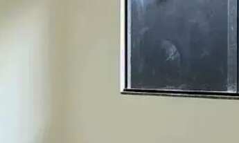 Imagem 6: Casa á venda com 2 quartos sendo 1 suíte, área gourmet no Nova Lima em Campo Grande - MS