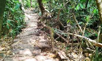 Imagem 5: CAFÉ SEM TROCO - FAZENDA COM 47 HECTARES BEIRA DO ASFALTO
