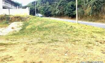 Imagem 3: TERRENO - JARDIM DAS PALMEIRAS - SP